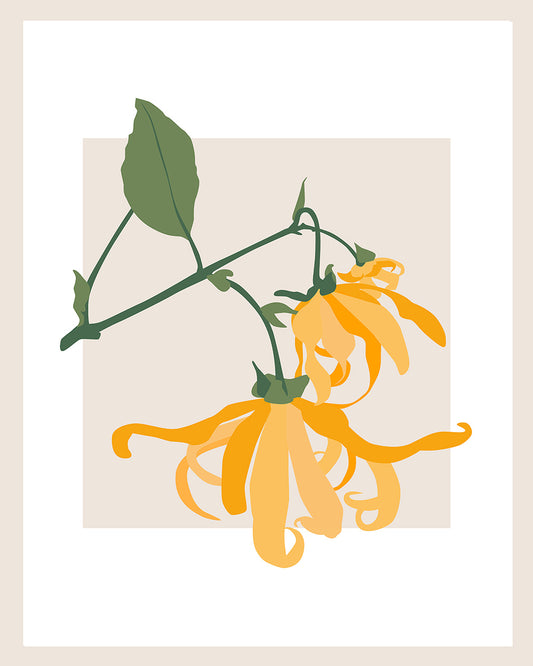 Unframed