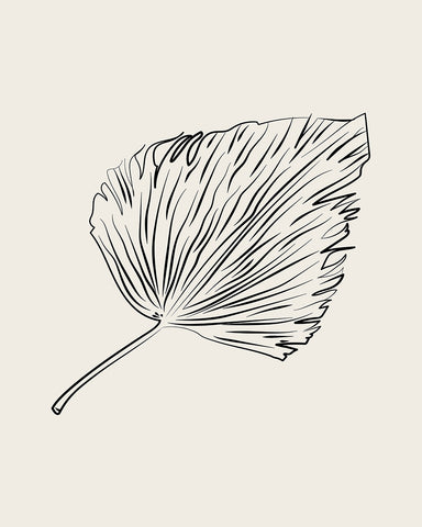 Leaf Sketch