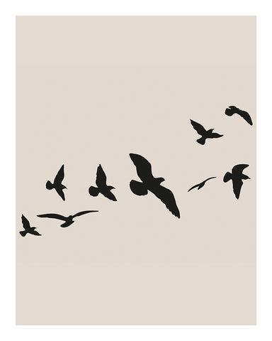 Flying Birds Silhouette