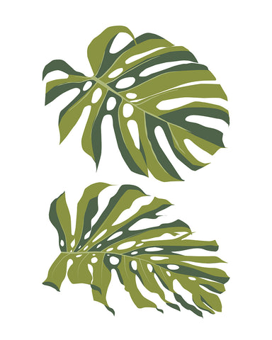 Monstera Leaves No4