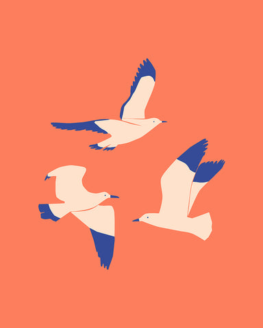 Flying Seagulls