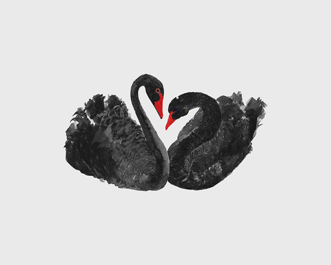 Black Swans