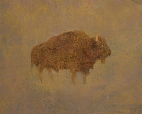 Buffalo in a Sandstorm