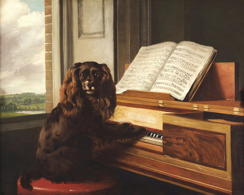 Portrait of A Dog
