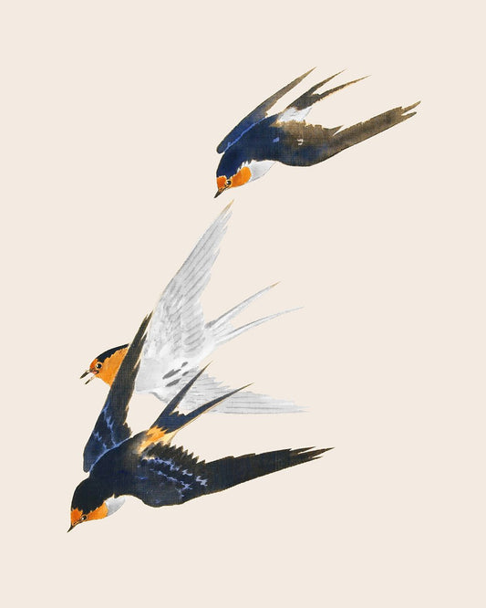 Swallows in Flight