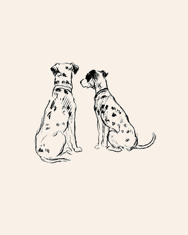 Two Dalmatians