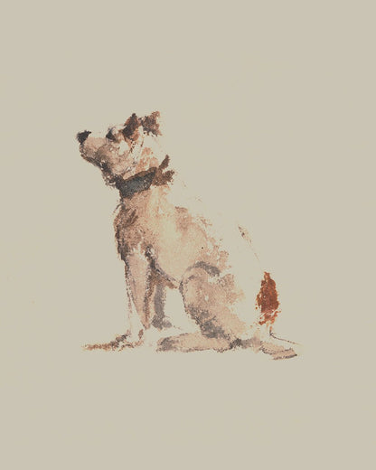 A Terrier Sitting