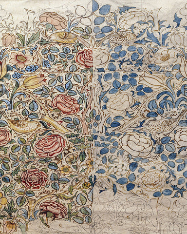 William Morris - Rose No1