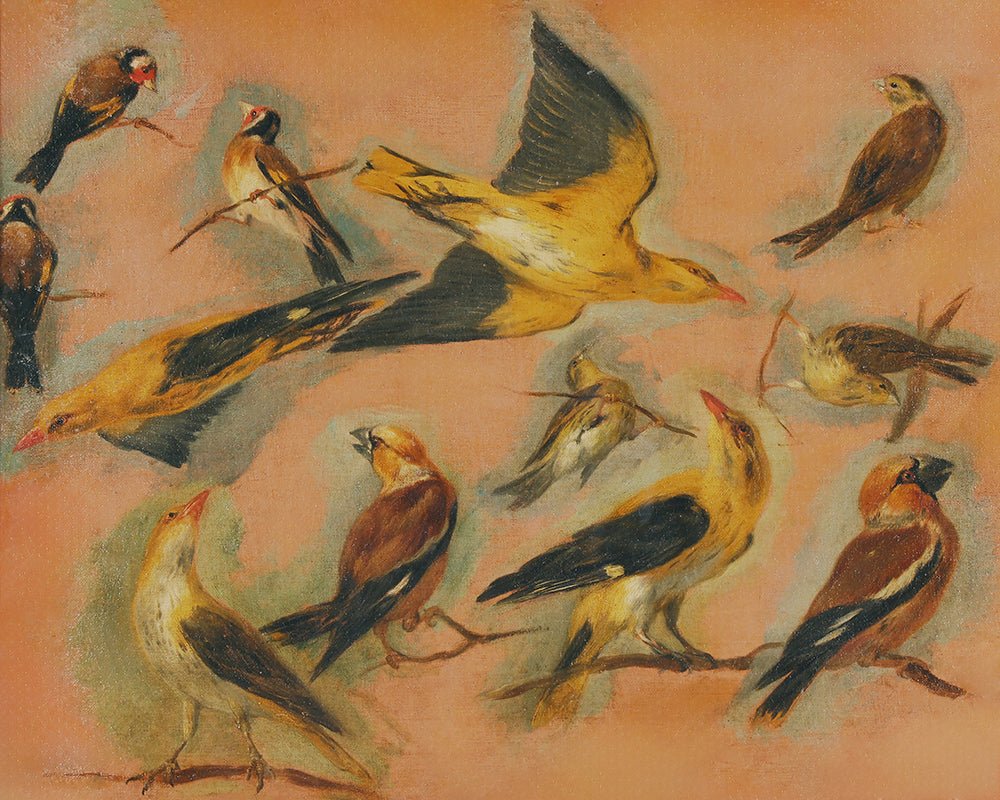 European Goldfinch – Poster Master