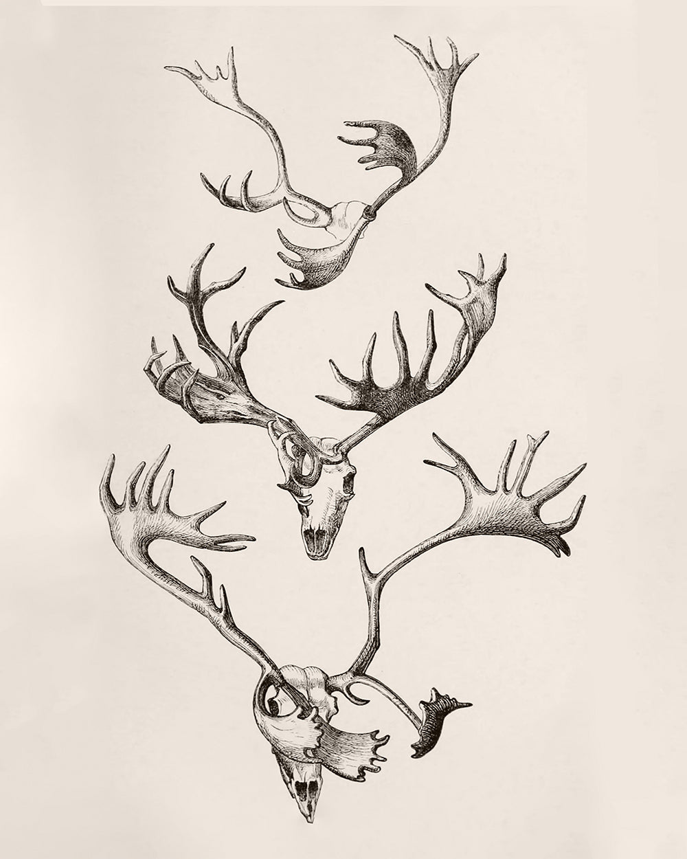Unframed