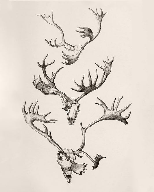 Unframed