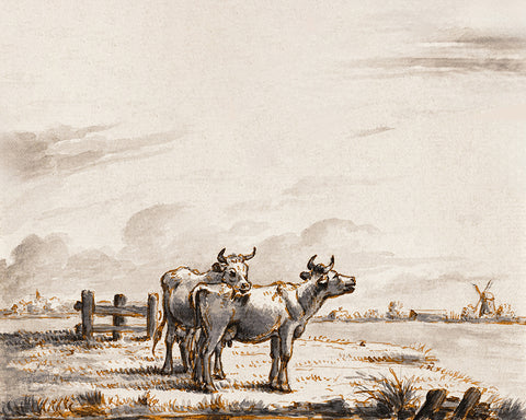Two Cows in Pasture