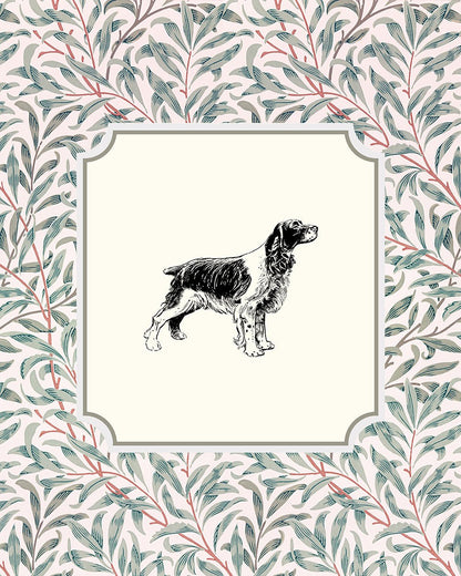 English Cocker Spaniel