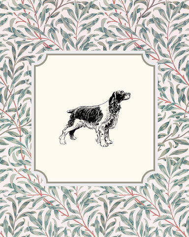 English Cocker Spaniel