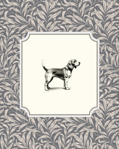 Beagle Dog