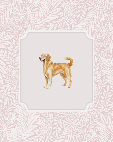 Golden Retriever No2