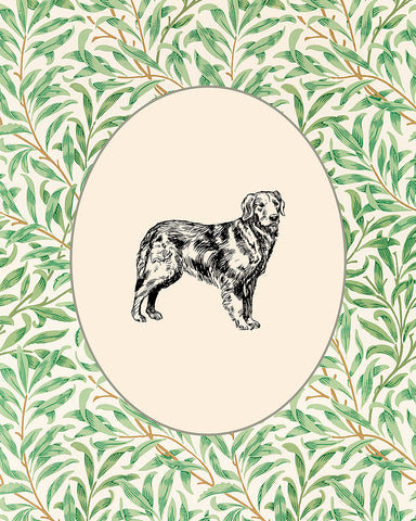 Golden Retriever No4