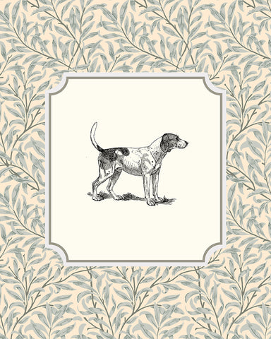 Foxhound Dog
