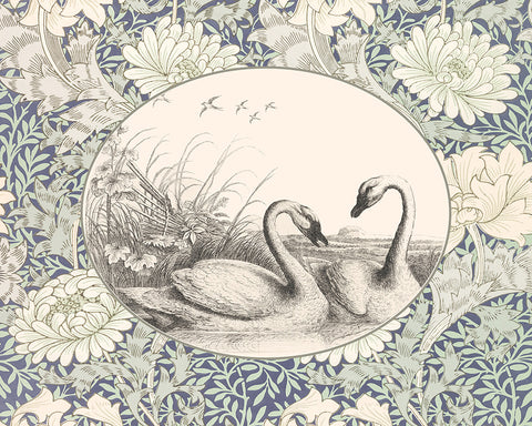 Swan Couple No1