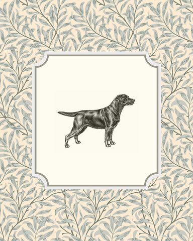 Dog Portrait No4