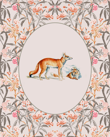 Fox Portrait No1