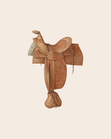 Horse Saddle No10