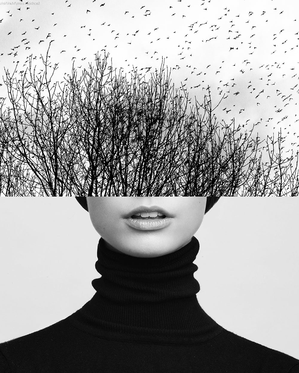 Unframed