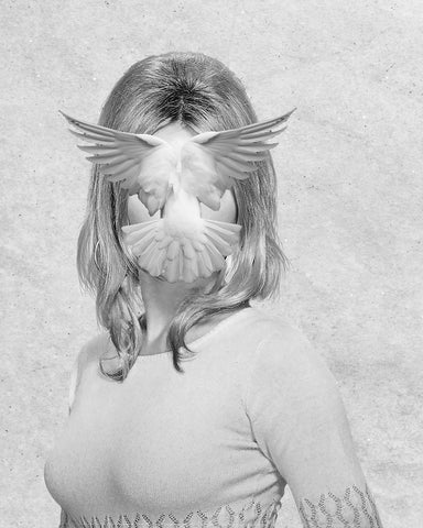 Flying Dove Collage