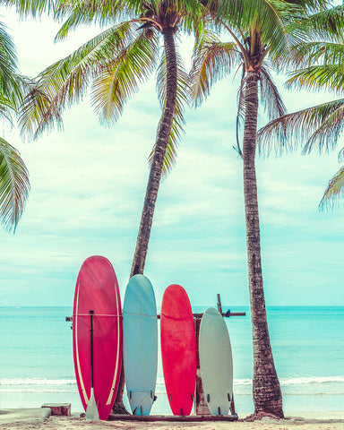 Surfboards & Palm Trees
