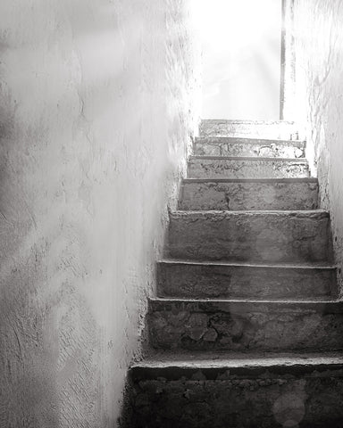 Basement Stairs