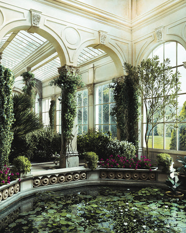 Water Lily Pond