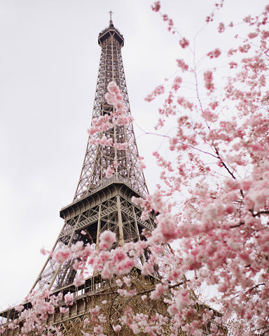 Blooming Paris