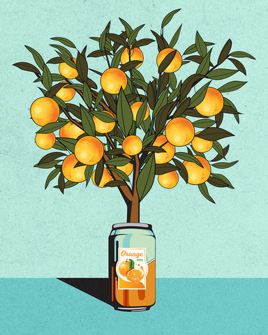 Orange Tree & Can