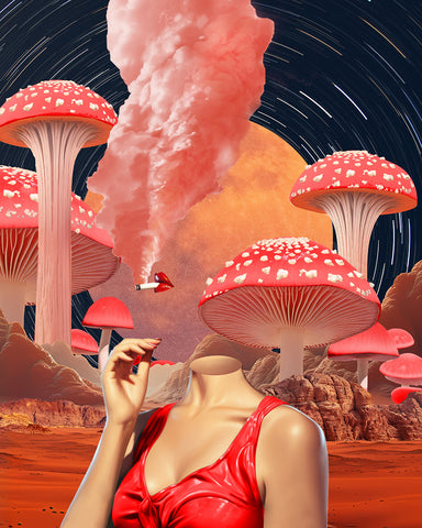 Trippy Mushrooms No2