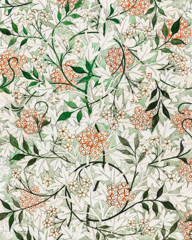 William Morris - Jasmine No2