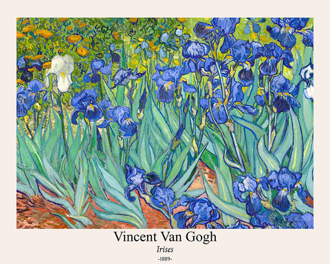 Van Gogh - Irises No2