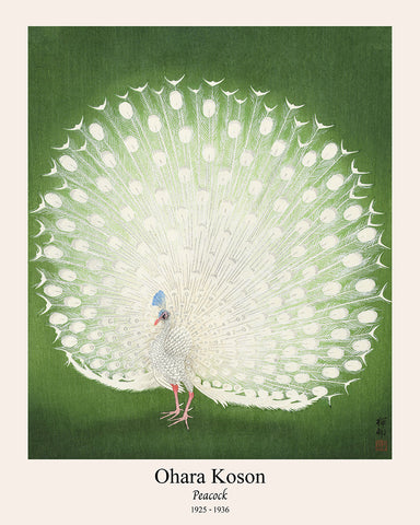 Ohara Koson - Peacock No2