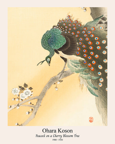 Ohara Koson - Peacock No3
