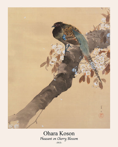 Ohara Koson - Pheasant on Cherry Blossom