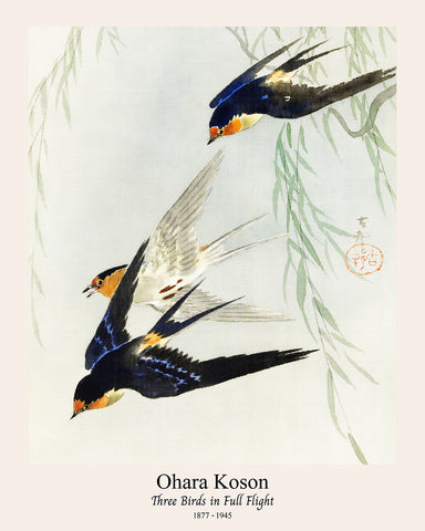 Ohara Koson - Three Birds