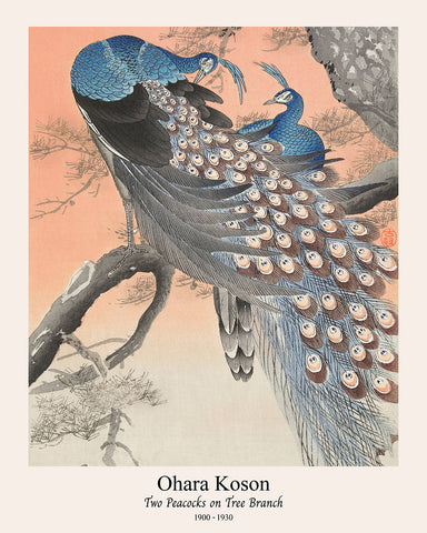 Ohara Koson - Two Peacocks No1