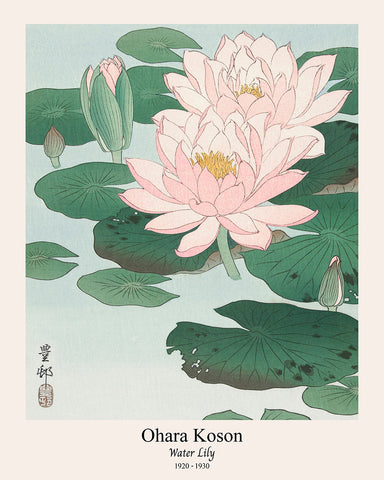 Ohara Koson - Water Lily No2