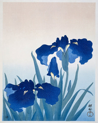 Ohara Koson - Iris Flowers No2