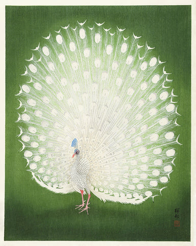 Ohara Koson - Peacock No4