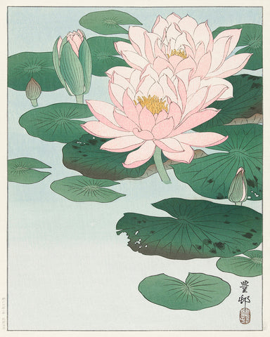 Ohara Koson - Water Lily No4