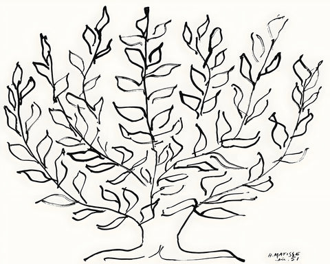 Henri Matisse - Plain Tree No2