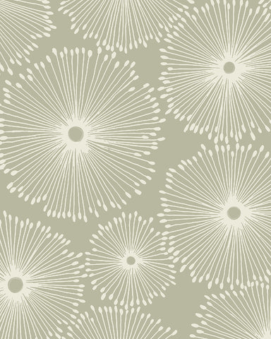 Geometric Circle Lines