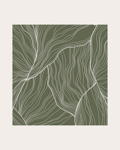 White Contour Lines