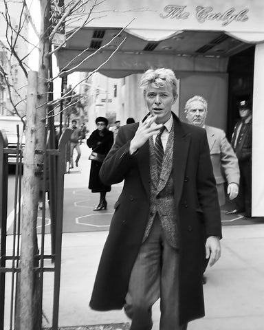 Bowie Photography