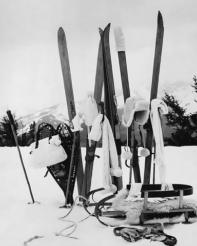 Ski Gears